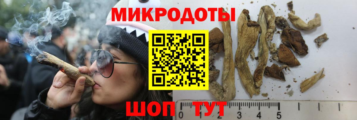 Псилоцибиновые грибы Magic Shrooms Истра