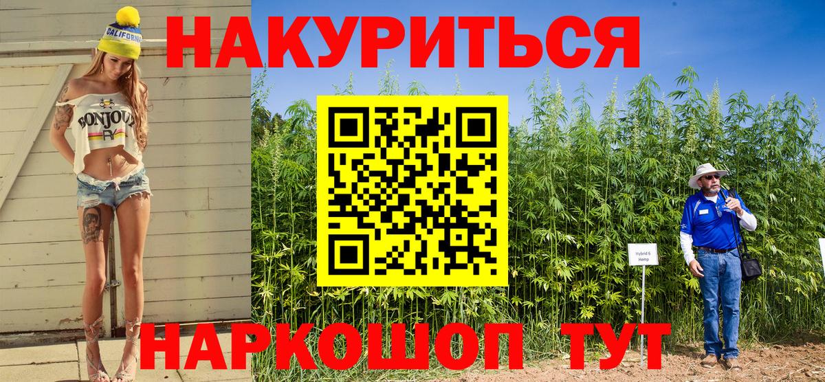 Каннабис сатива Истра